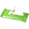 Lingettes nettoyantes pour les mains Pocketclean