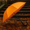 Parapluie golf SING'IN