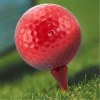 Tee Golf - Hydor