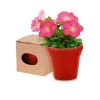 Pot de Fleurs - Advert