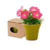 Pot de Fleurs - Advert