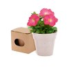Pot de Fleurs - Advert