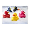 LittleDuck canard pour le bain