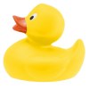 LittleDuck canard pour le bain