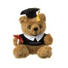Ours avec toge, coiffe et diplôme