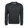Sweat-shirt homme col rond - SPIDER