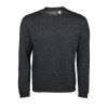 Sweat-shirt homme col rond - SPIDER