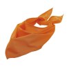 Bandana - BANDANA