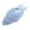 Bandana - BANDANA