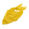 Bandana - BANDANA