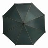 Parapluie automatique WALTZ