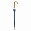 Parapluie automatique WALTZ