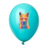 CreaBalloon CreaBalloon ballon de baudruche, pastel