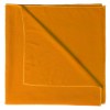 Serviette Absorbante - Lypso