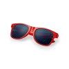 Lunettes de Soleil - Nival