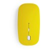 Souris - Lyster