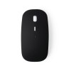 Souris - Lyster