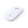 Souris - Lyster