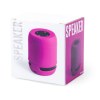 Haut-Parleur - Braiss