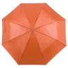 Parapluie - Ziant