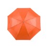 Parapluie - Ziant