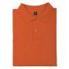 Polo - Bartel Color