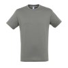 Tee-shirt unisexe col rond - REGENT