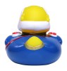 Canard voyage