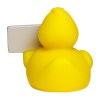 Canard voyage