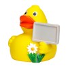 Canard voyage