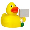 Canard voyage