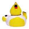 Canard sport