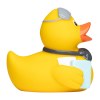 Canard voyage