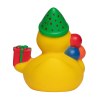 Canard fête