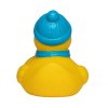 Canard hiver
