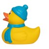Canard hiver