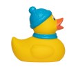 Canard hiver