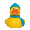 Canard hiver MBW