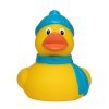 Canard hiver
