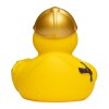 Canard fête
