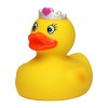 Canard fête