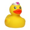 Canard fête