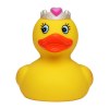 Canard fête