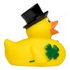 Canard fête