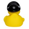 Canard voyage
