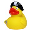 Canard voyage