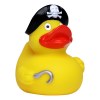 Canard voyage