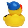 Canard voyage