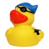 Canard voyage