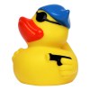 Canard voyage